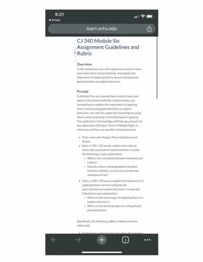 Module Six Assignment - Guidelines and Rubric (CJ 340)