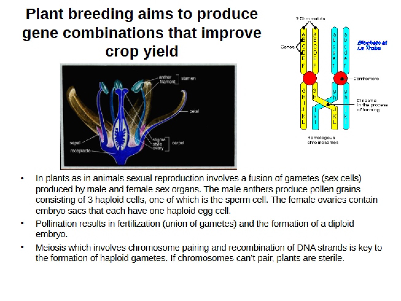 Lecture on Plant Biochemistry - BIBC 104