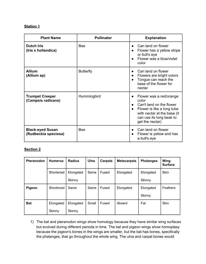 Worksheet - Evidence for Evolution