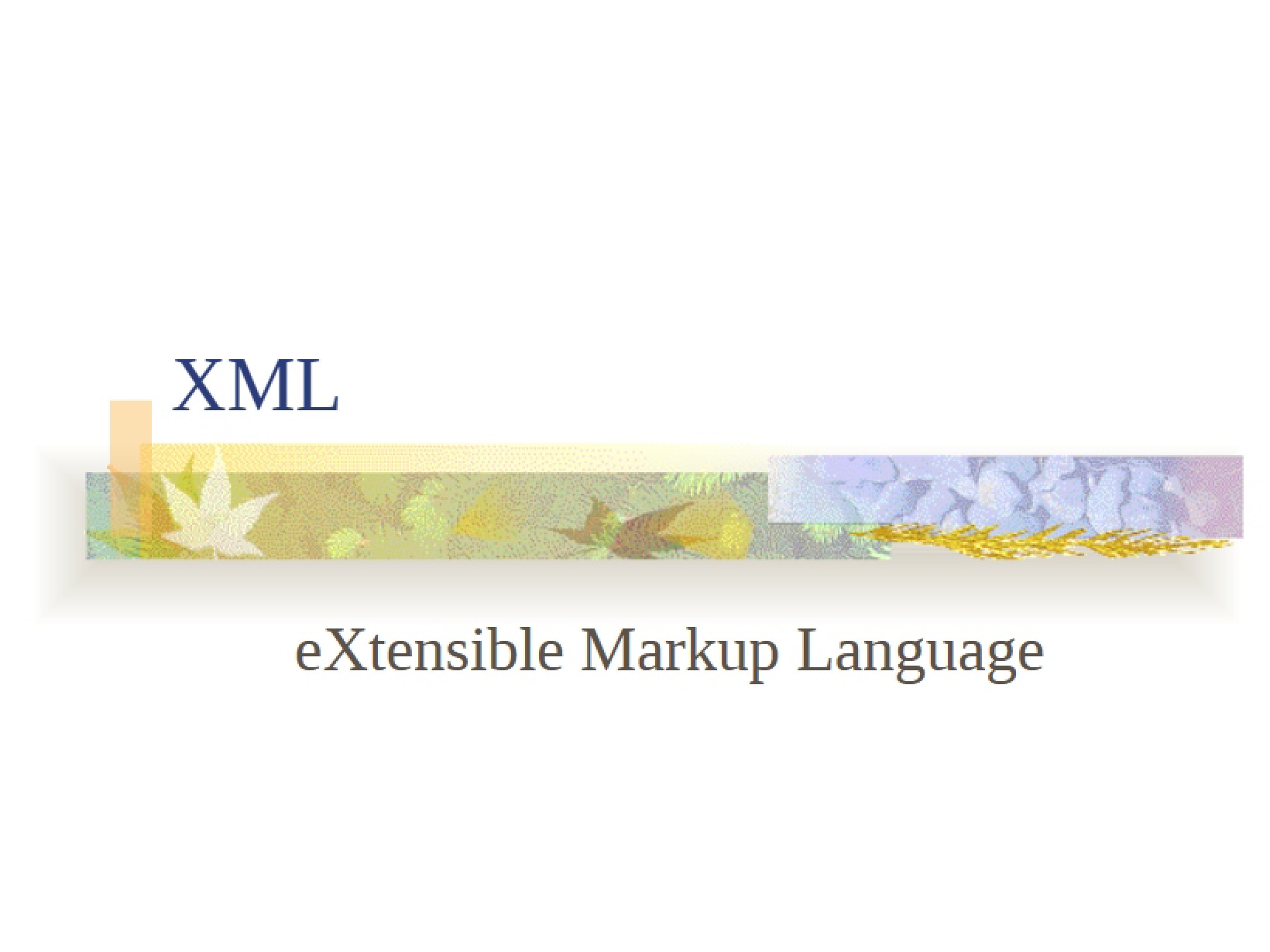 XML (Extensible Markup Language)