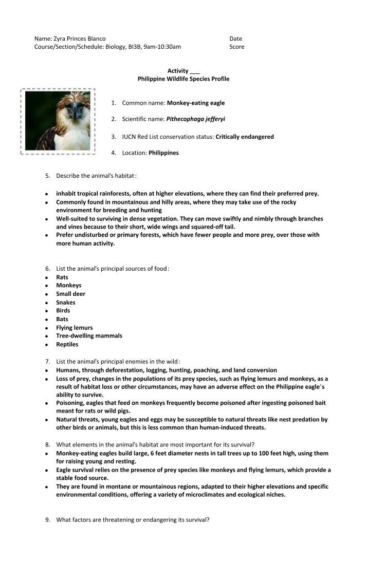 Monkey-eating Eagle - Philippine Wildlife Species Profile