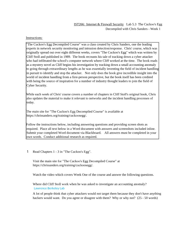 The Cuckoo's Egg - Investigating Cyber Attacks