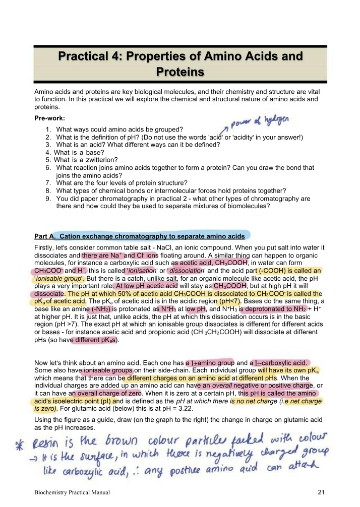 Proteins and Amino Acids - Properties