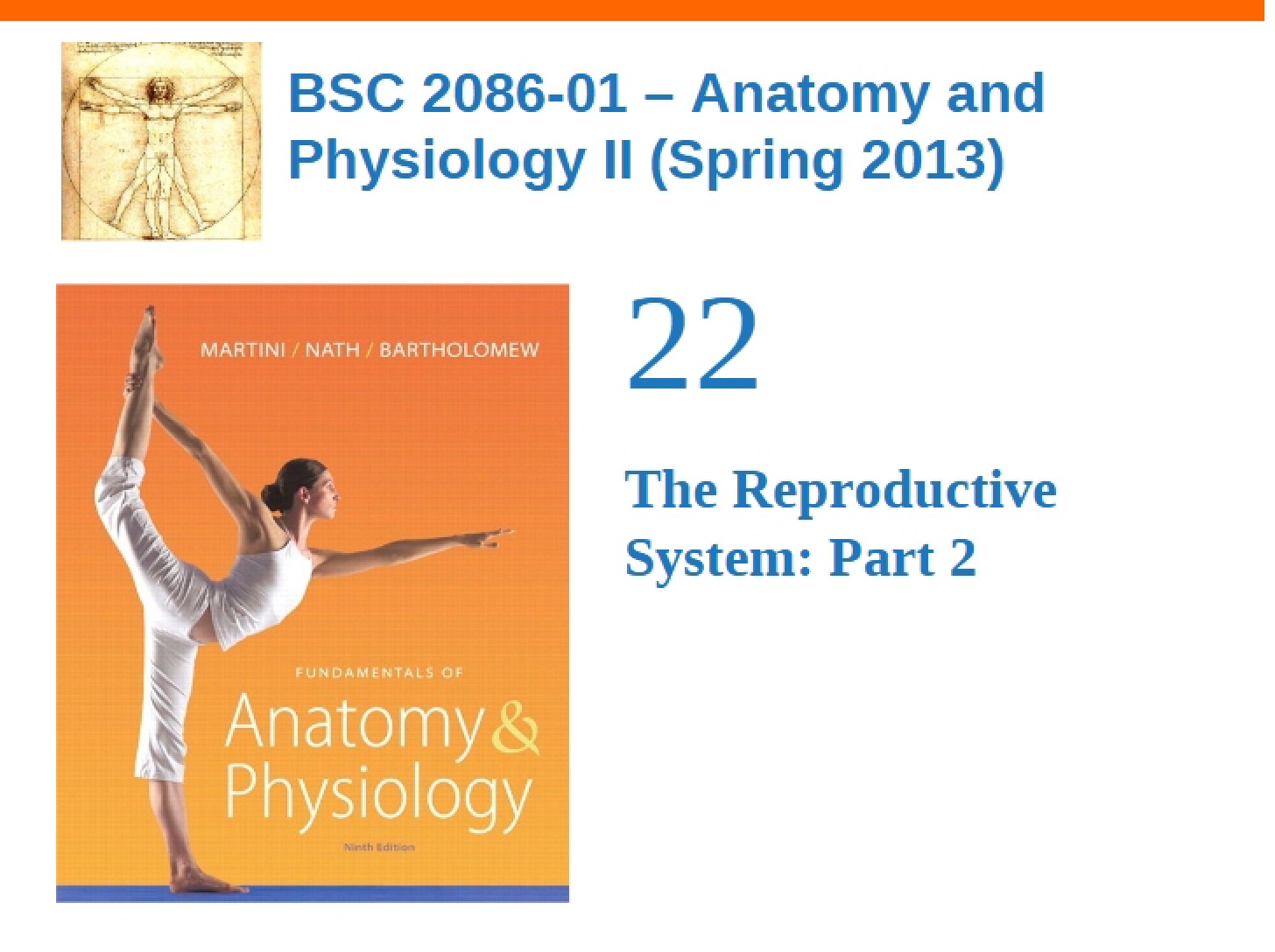 Reproductive System (Part 2)