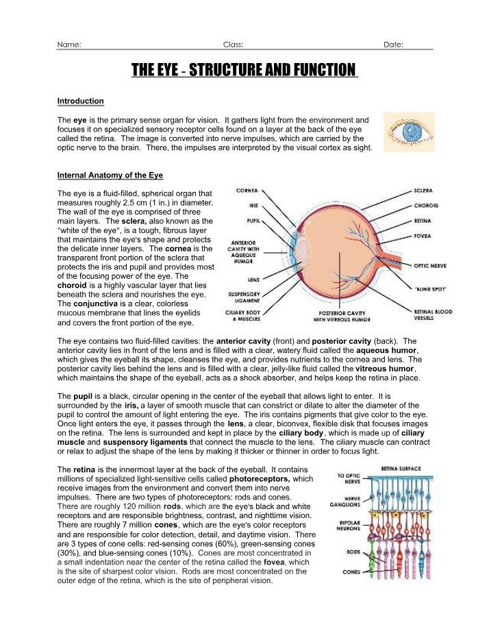 Structure and Function of the Eye