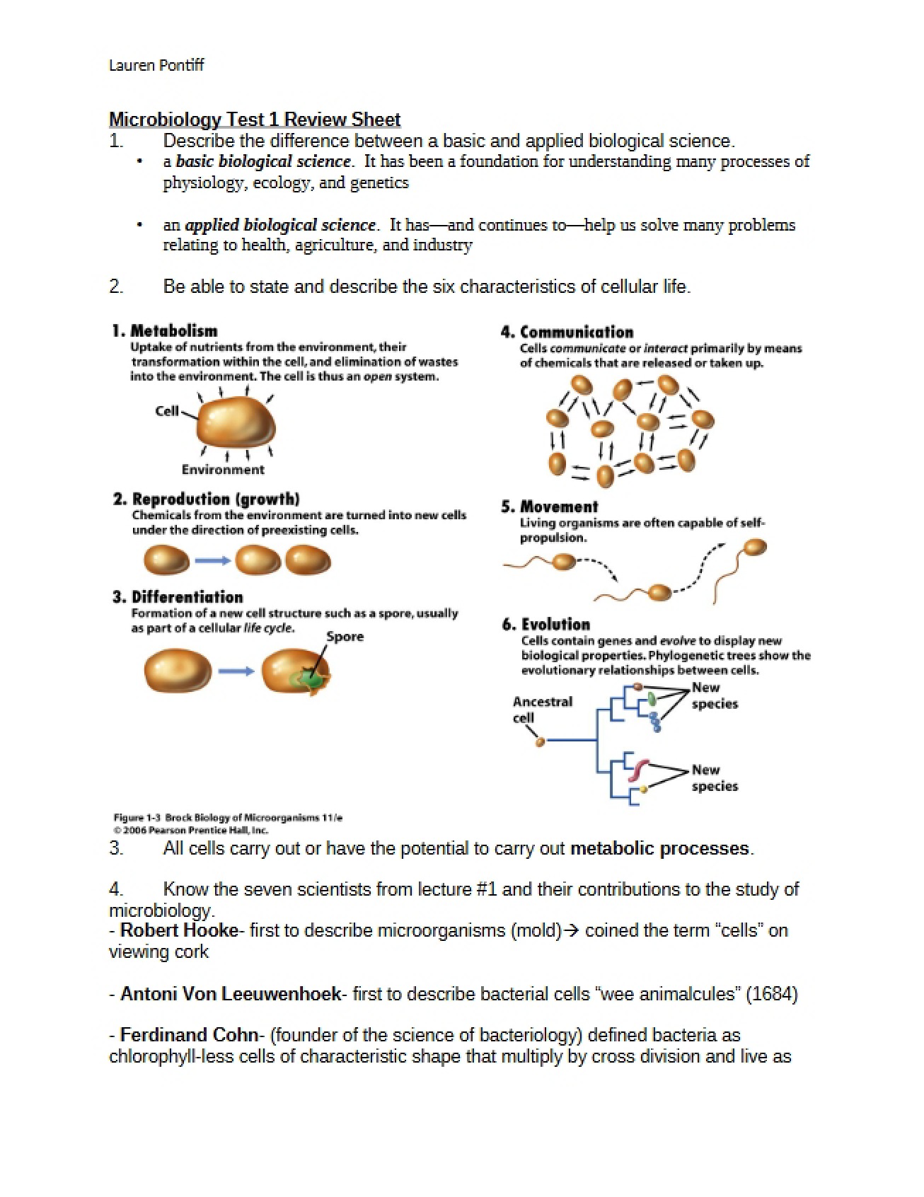 Review Sheet First Microbiology Test