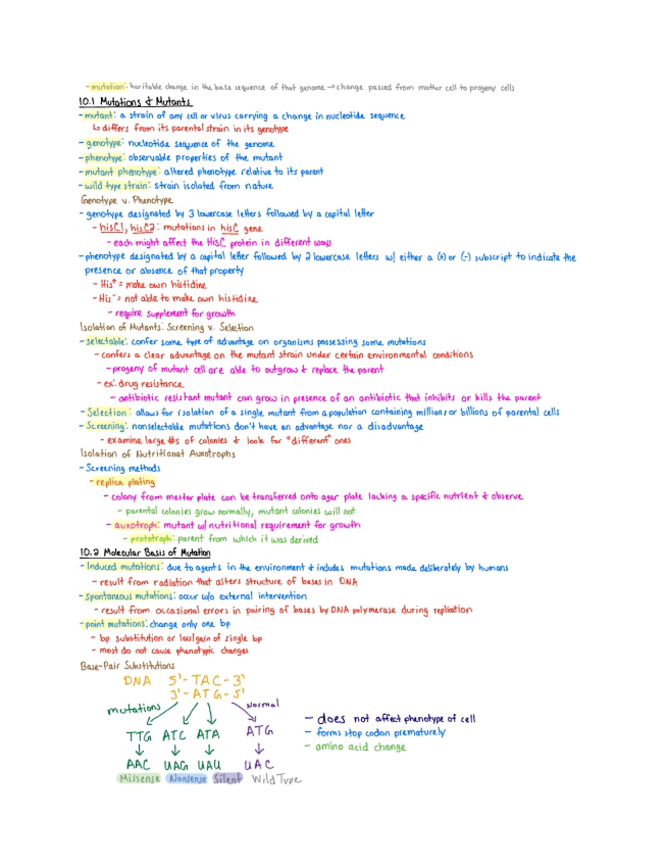 Understanding Mutations in Microbiology
