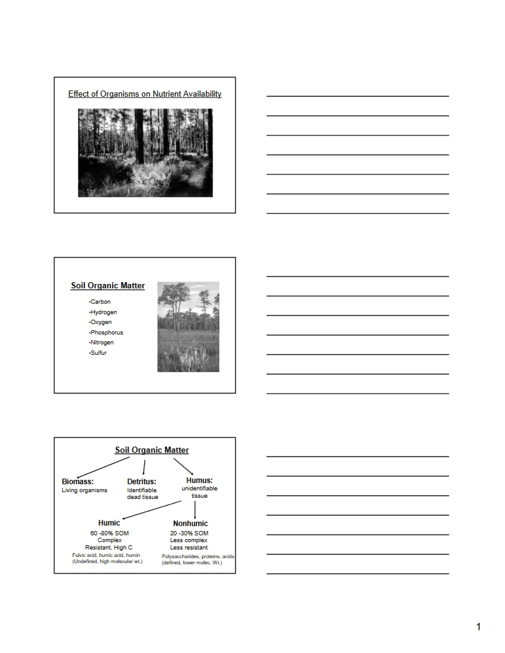 Soil Organic Matter Effect of Organisms