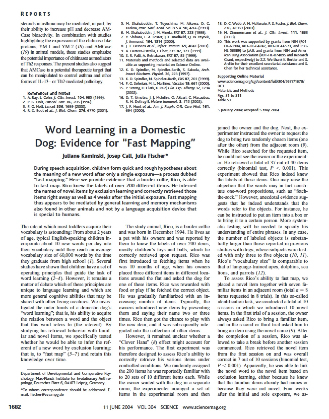 Domestic Dog Word Learning