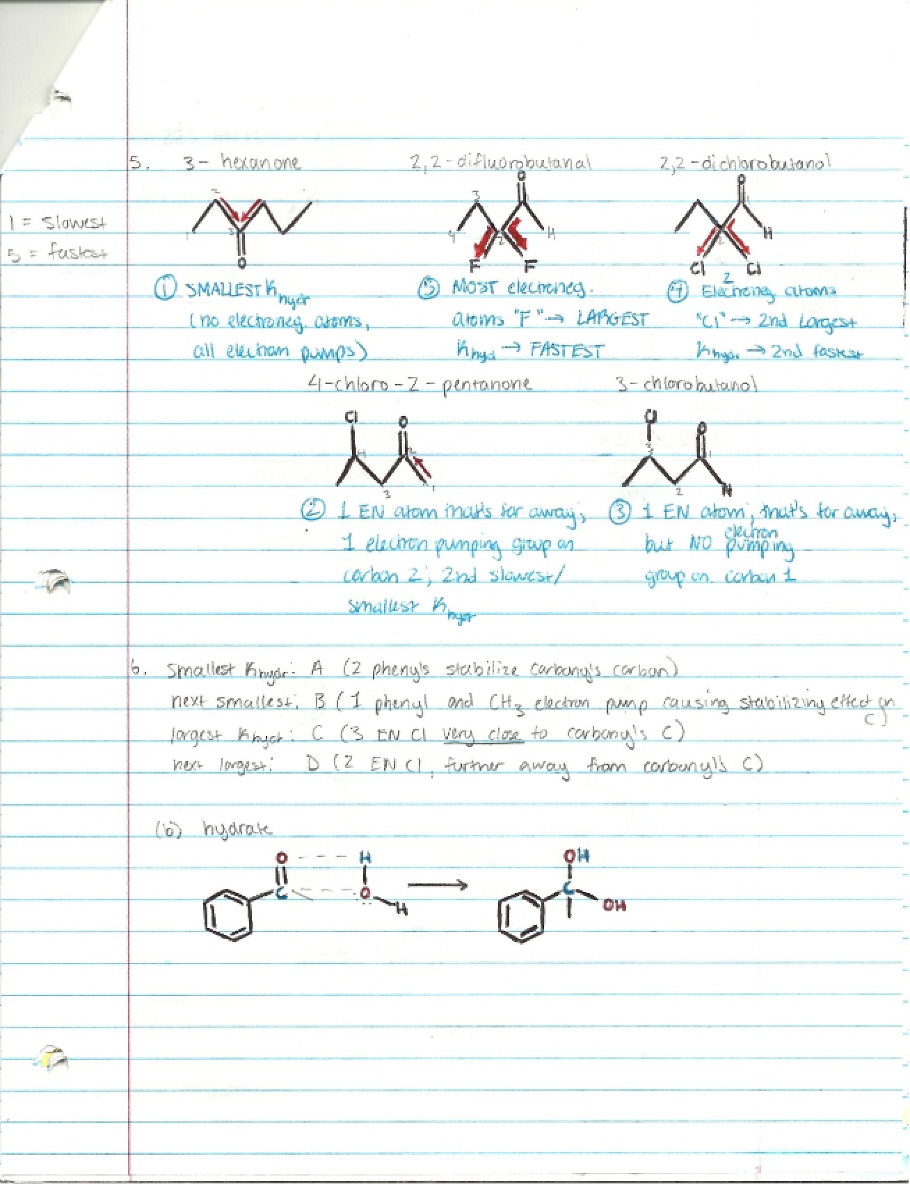 Organic Chemistry II Class Notes (16)
