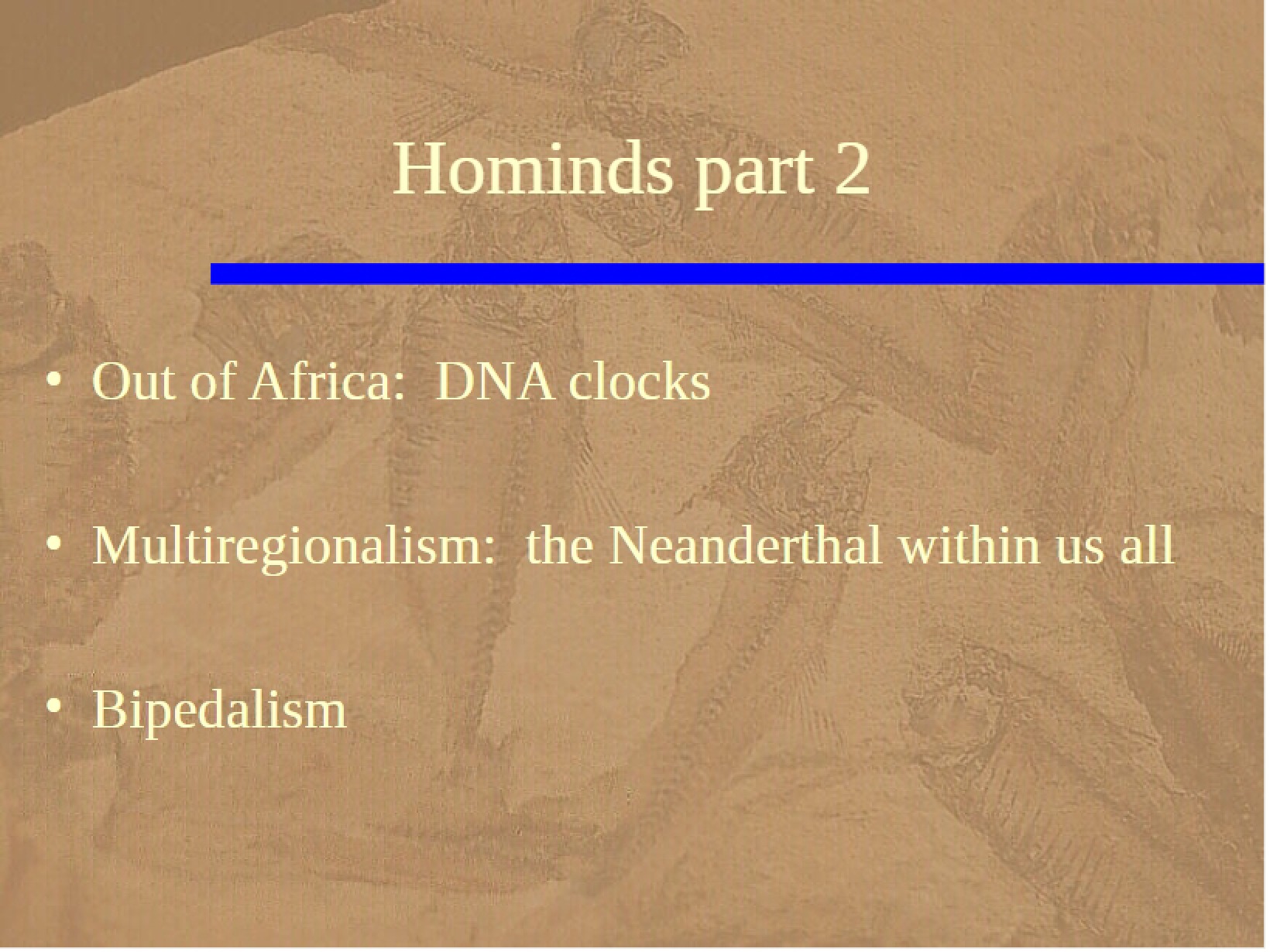 Part Two Hominids