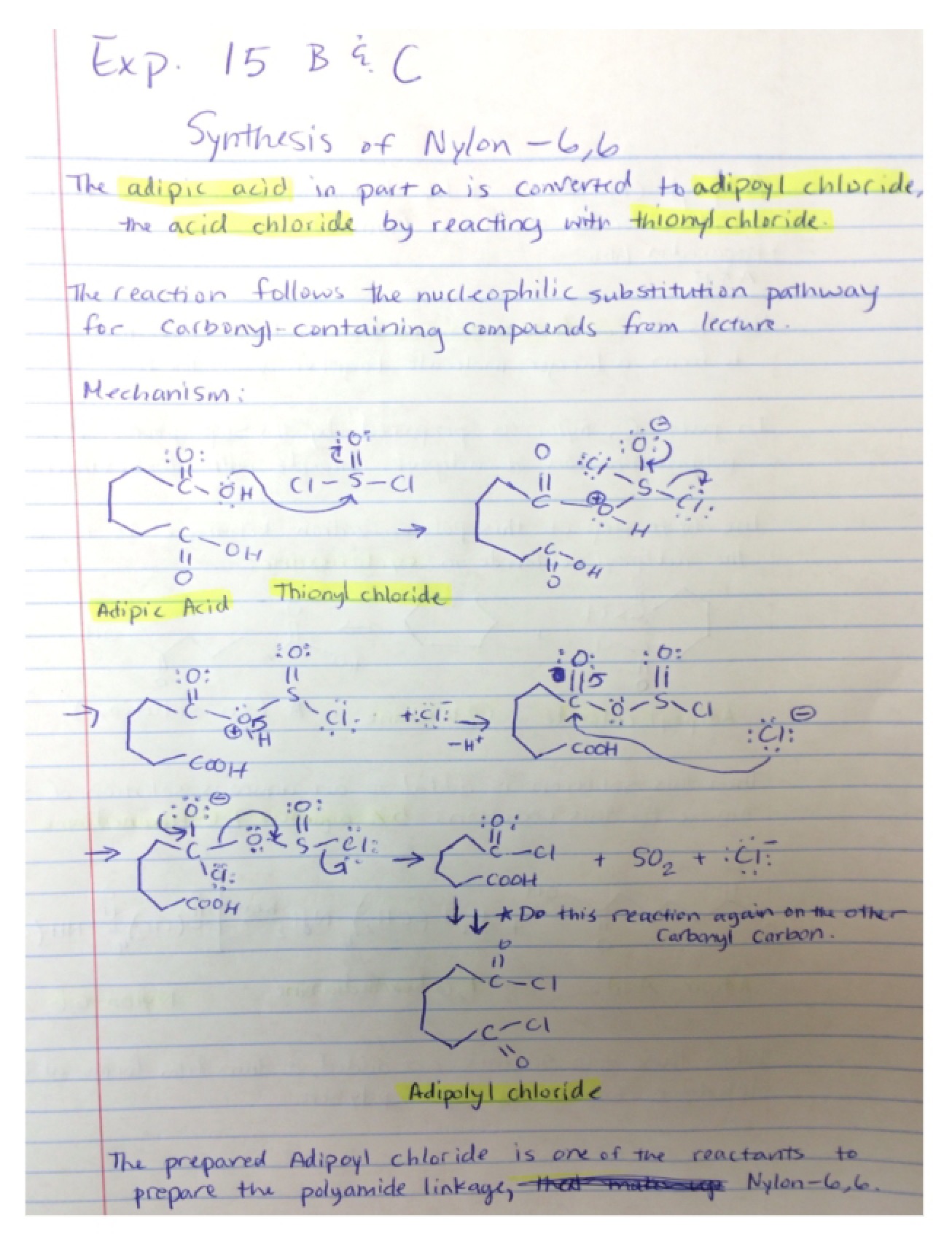 Laboratory Procedures and Notes
