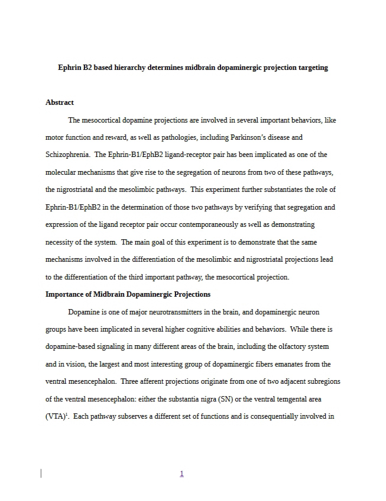 Ephrin B2 Hierarchy in Midbrain Dopaminergic Projection Targeting