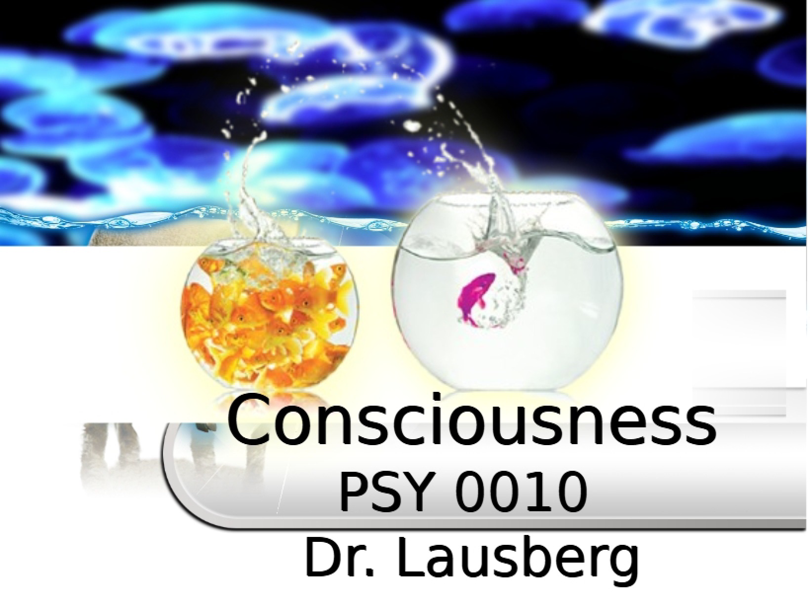 Student Note Slides Consciousness