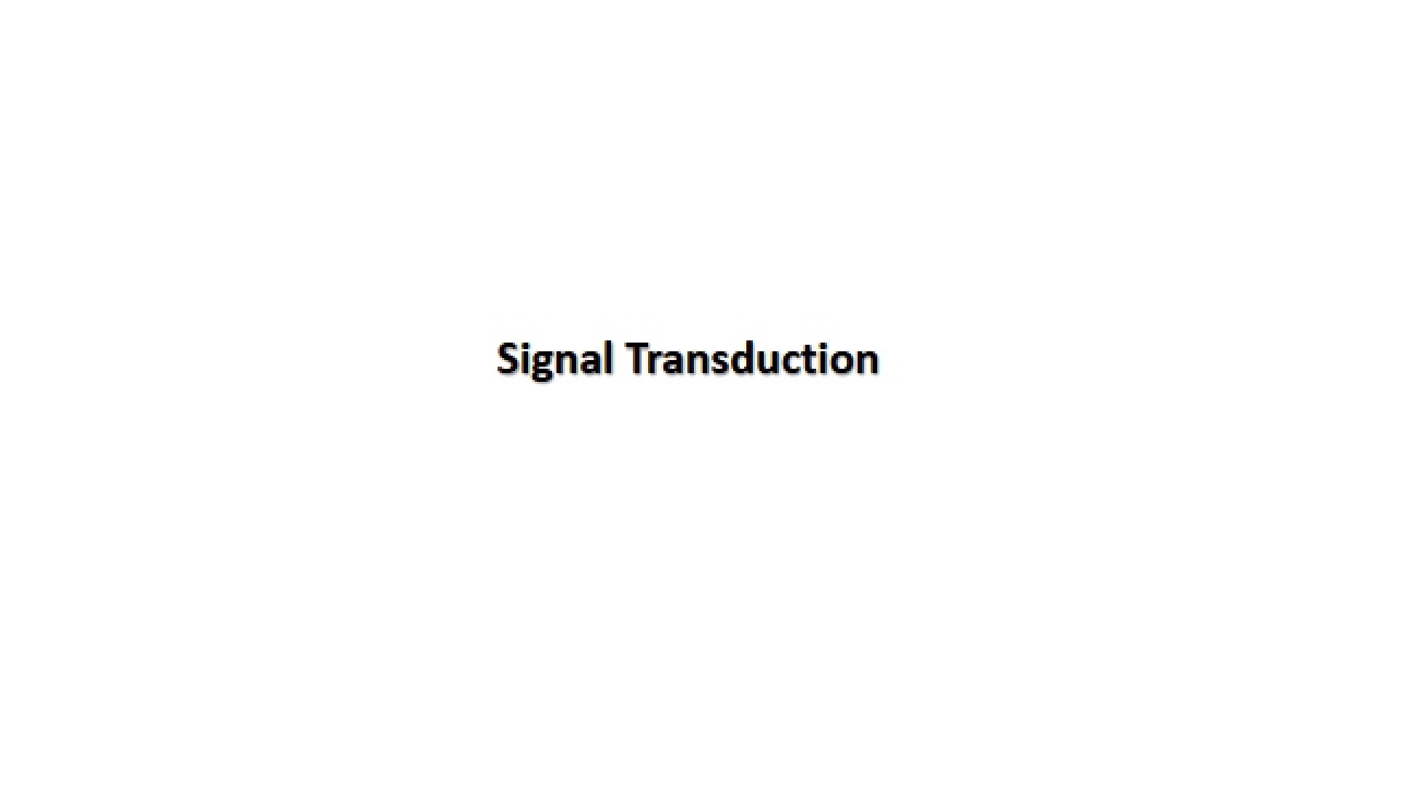 Transduction of Signals