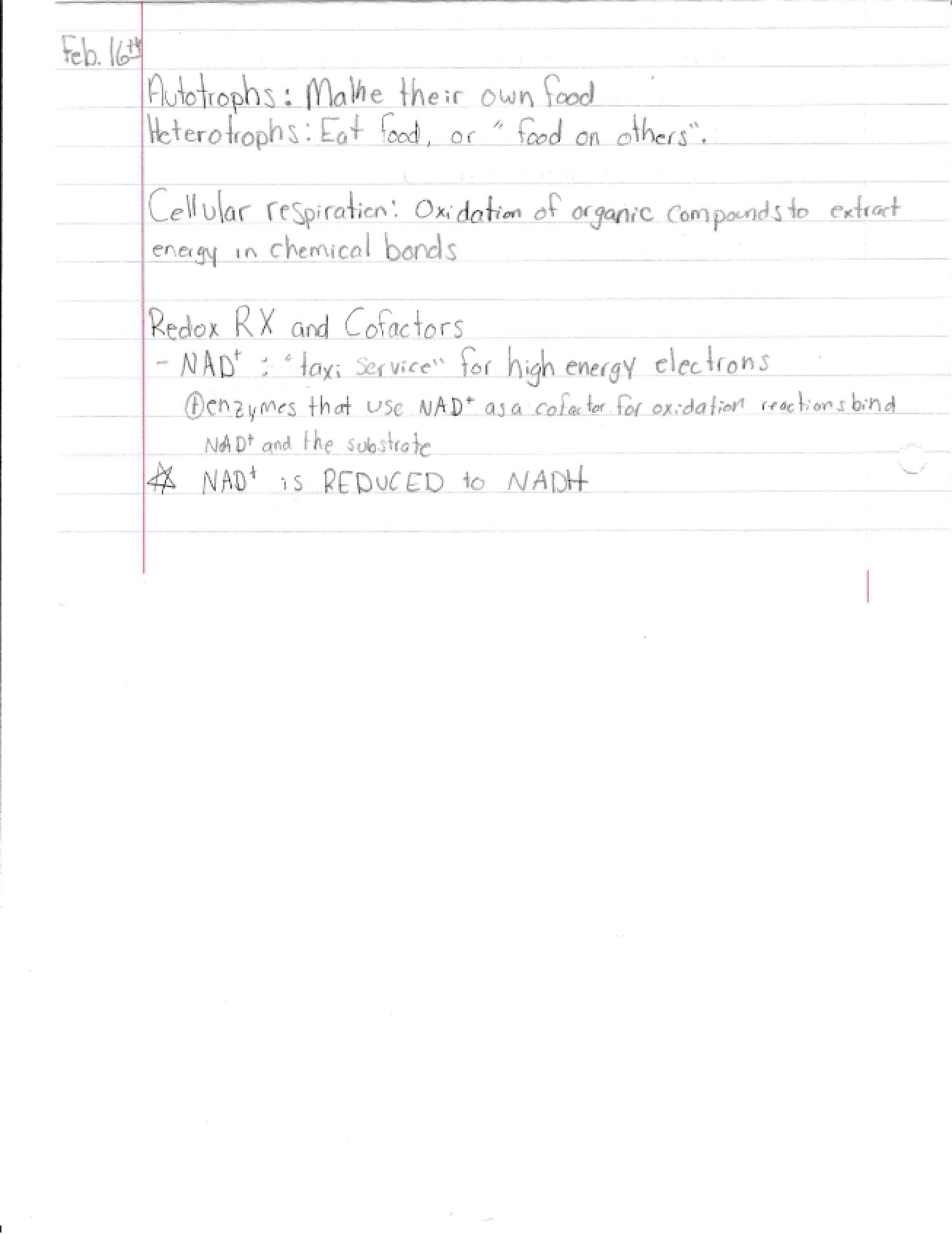 Bio Foundations Notes 1