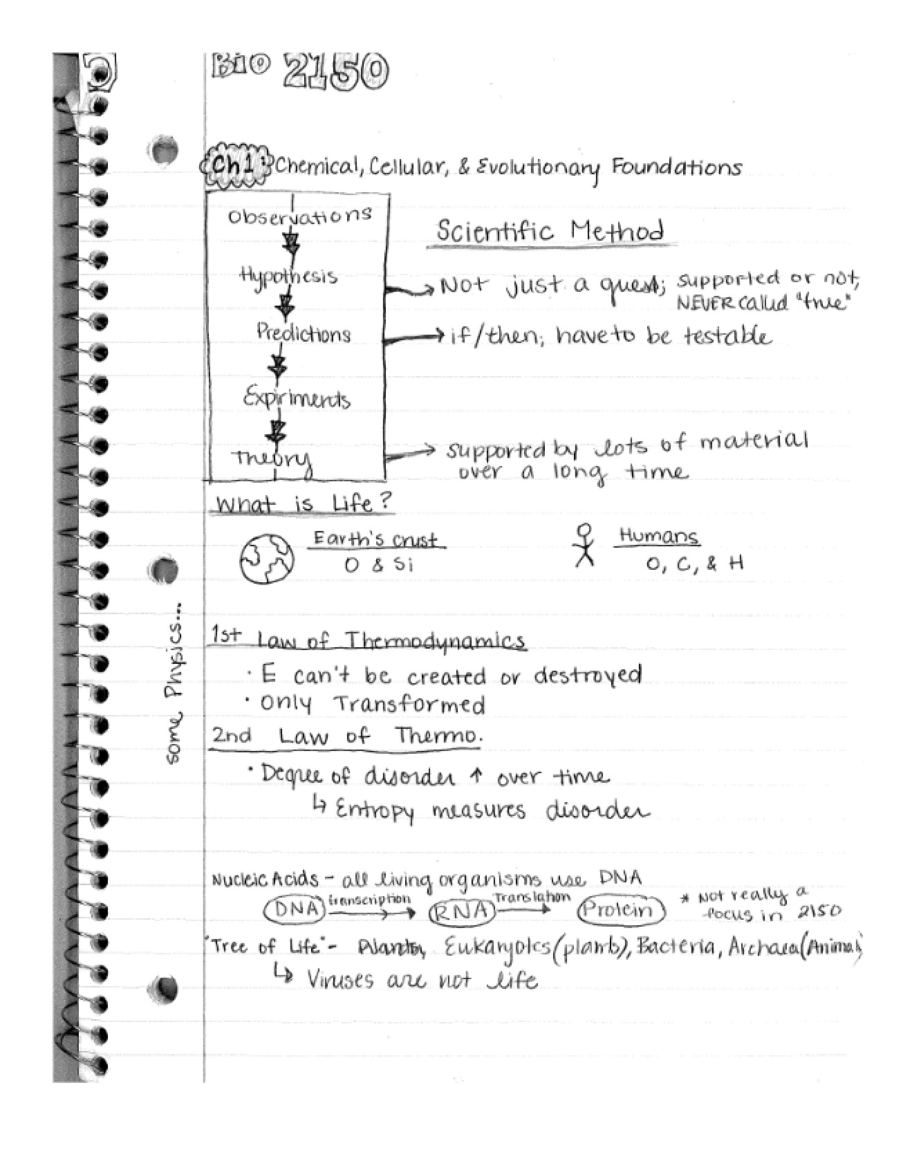 Lecture Notes - BIOL 2150