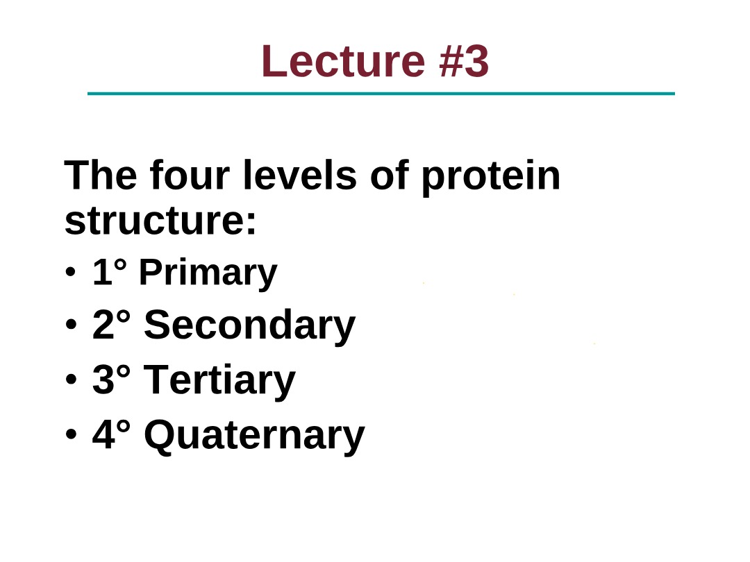 Lecture 3 - Protein Structure