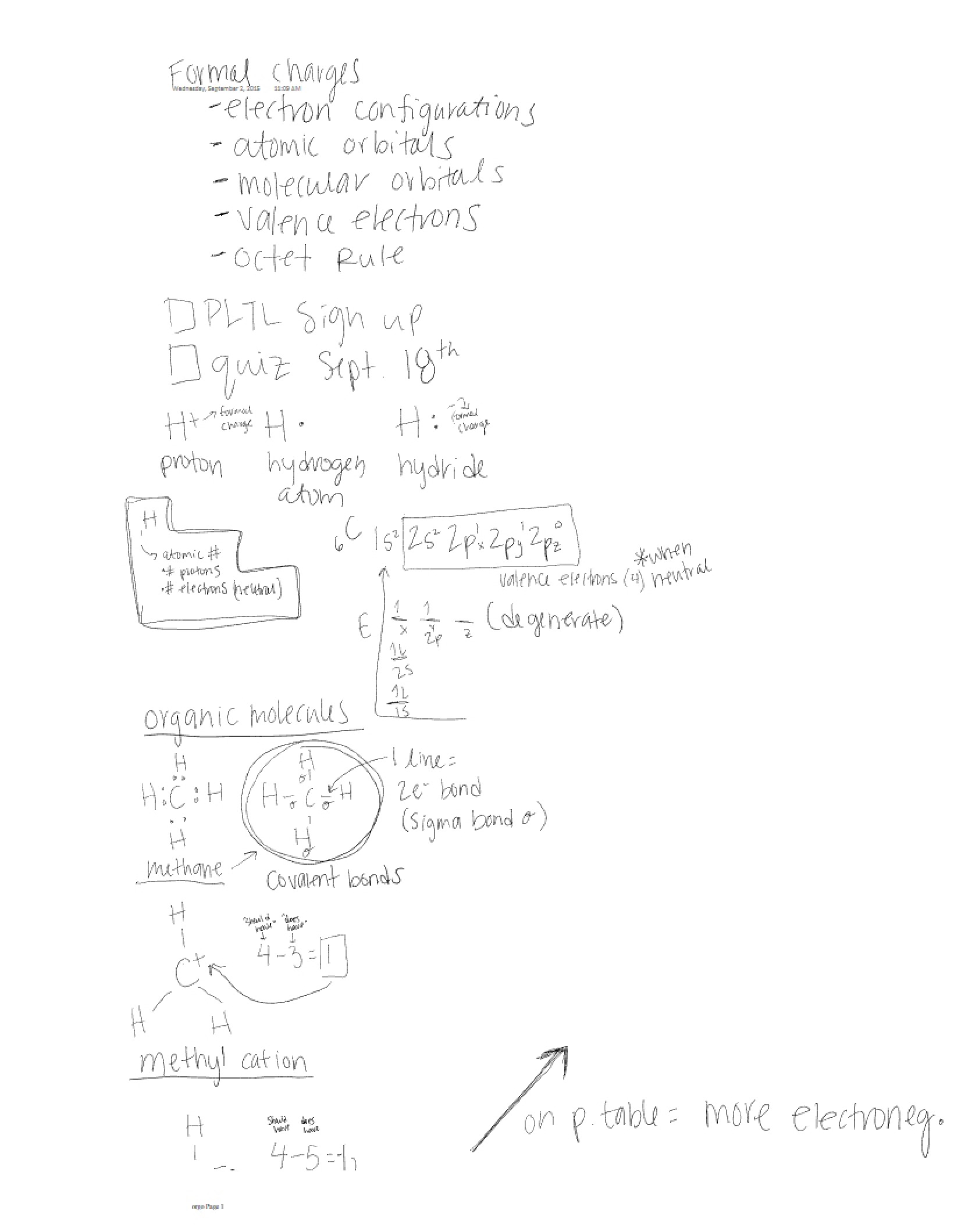 Organic Chemistry Notes