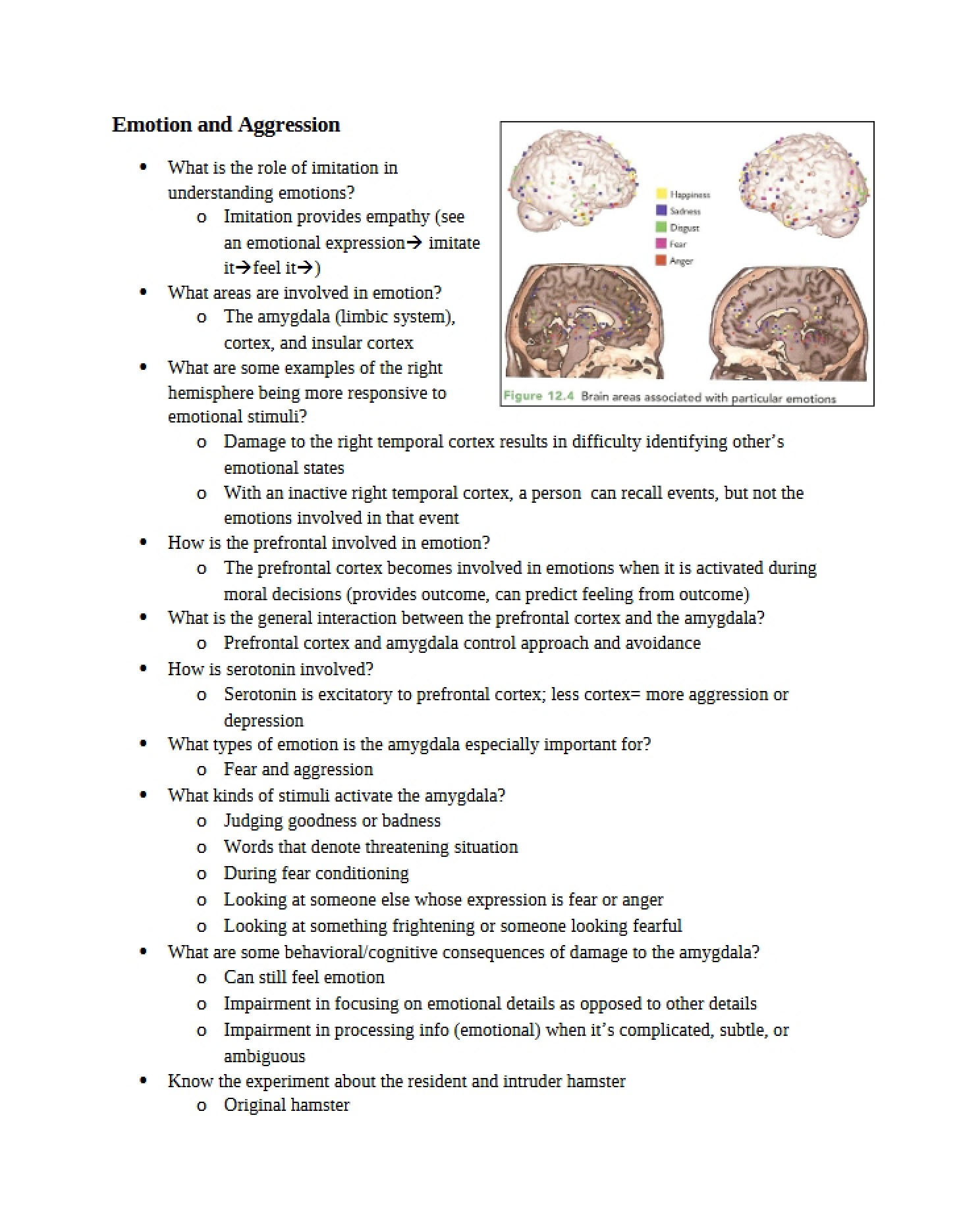 Aggression and Emotion