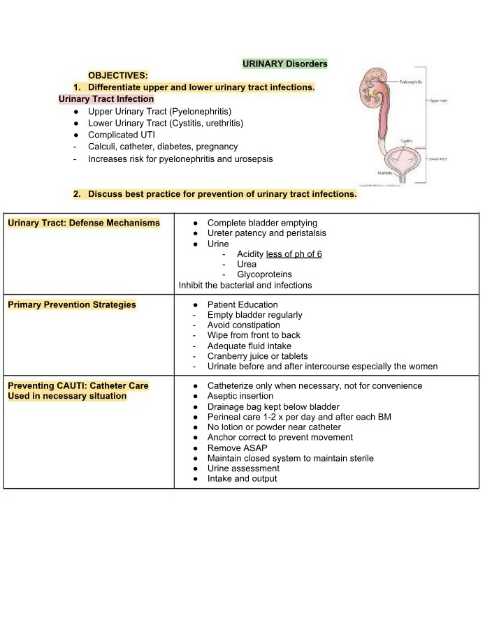 Causes, Symptoms, and Management of Urinary Disorders