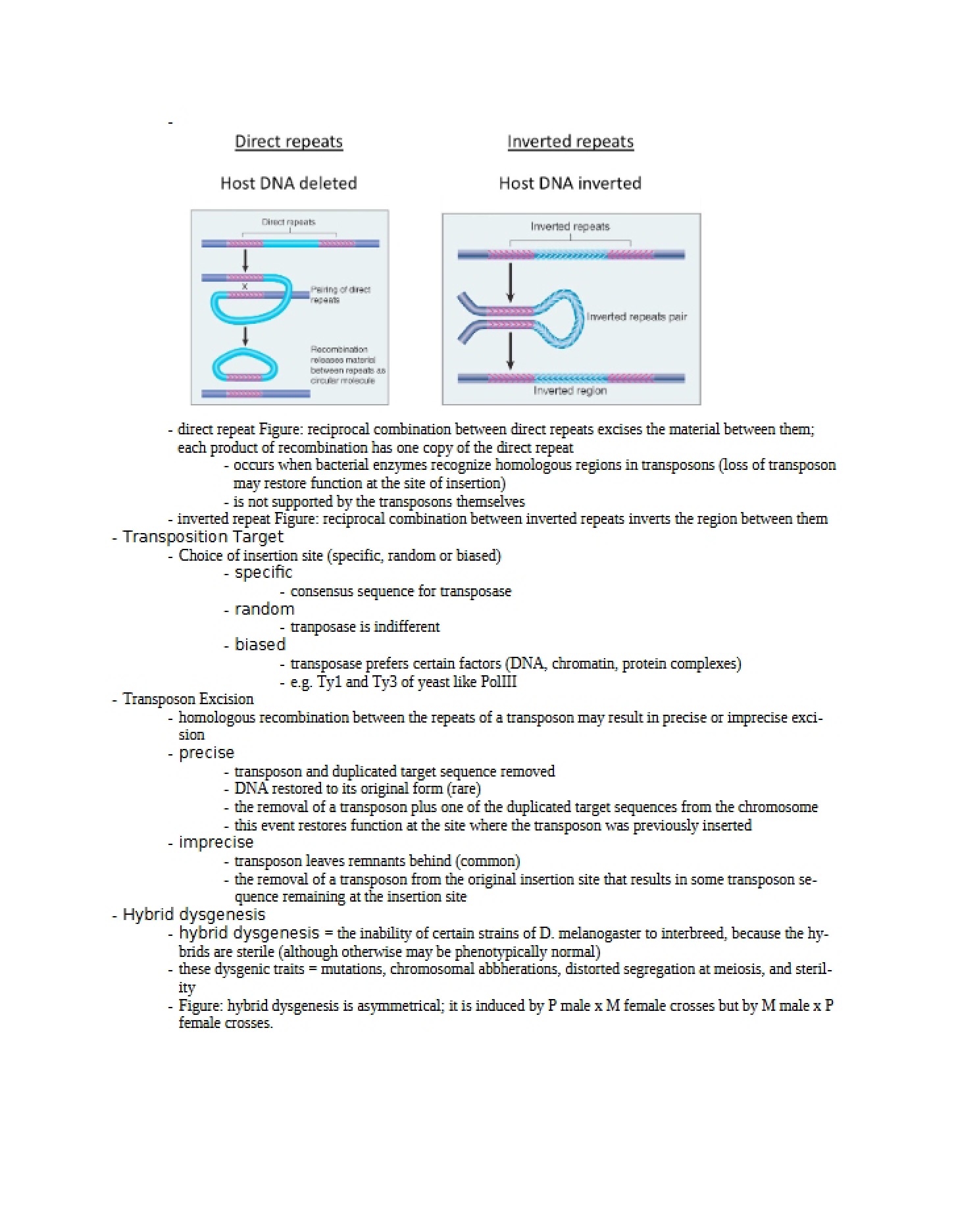 Course Lecture Notes