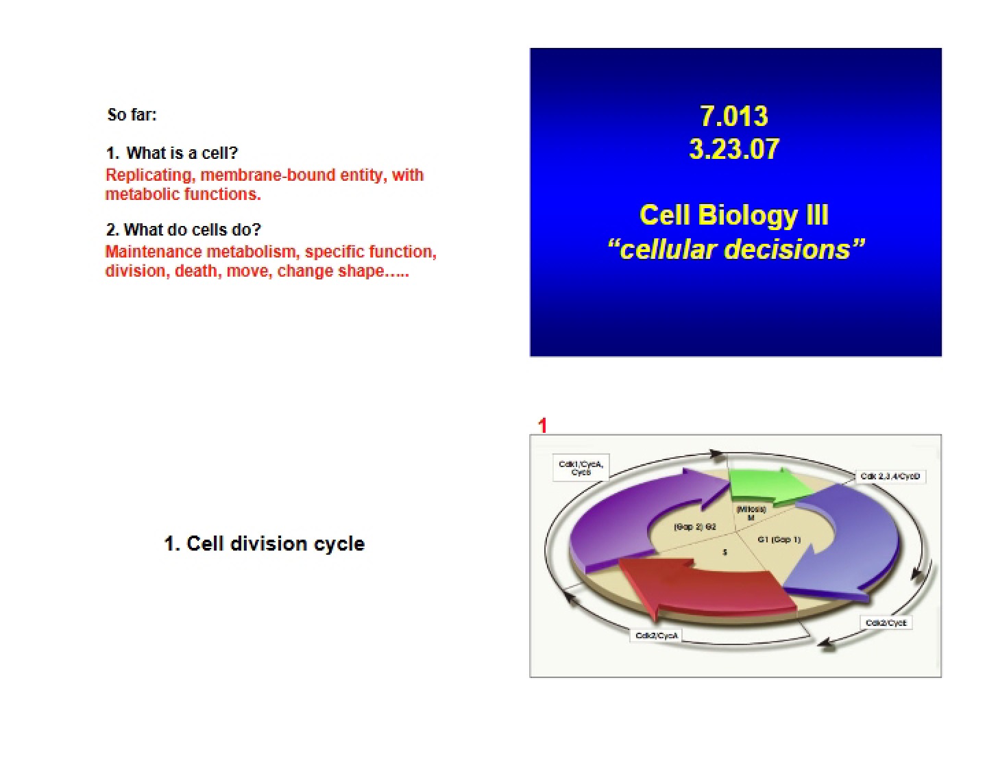 Third Cell Biology Unit