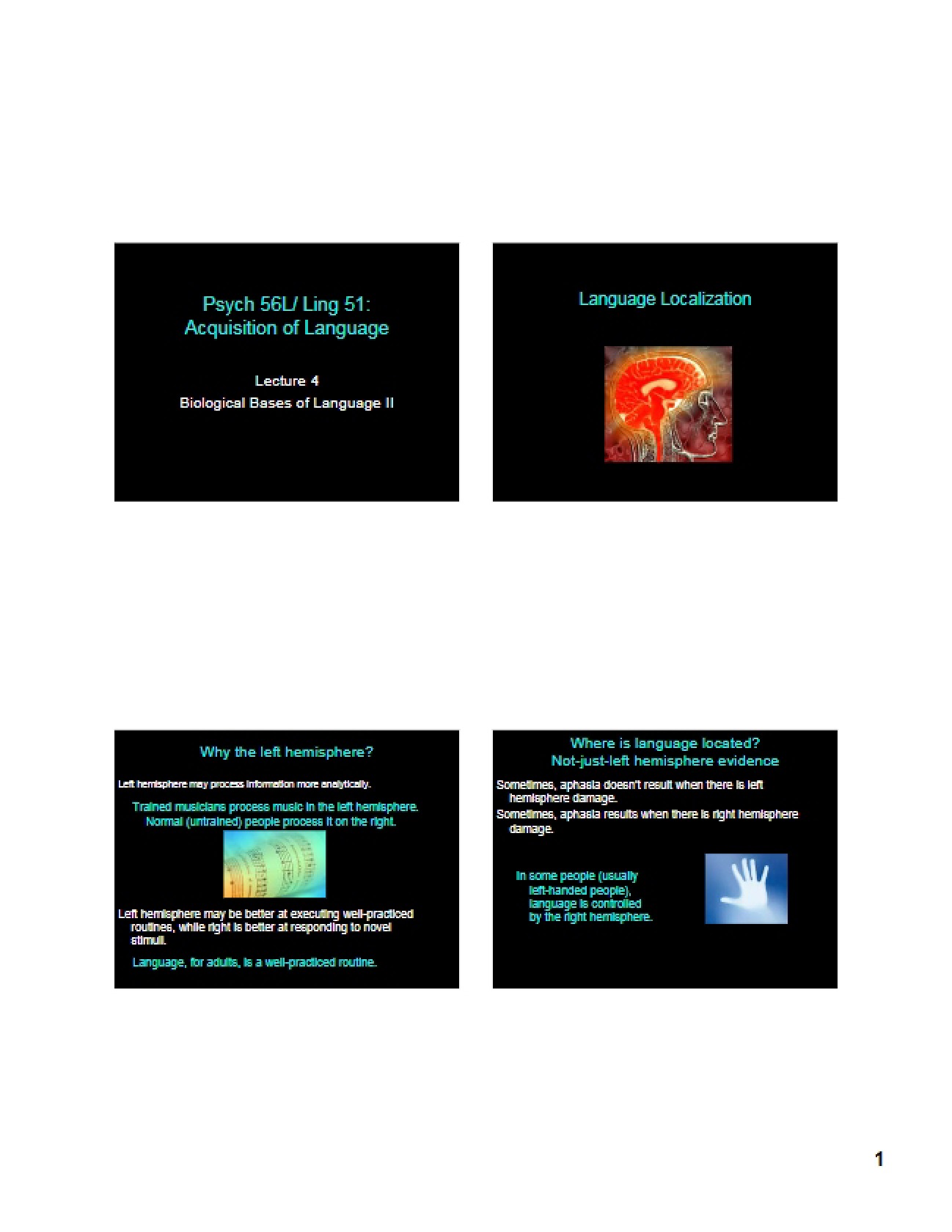 Second Part of Biological Bases of Language