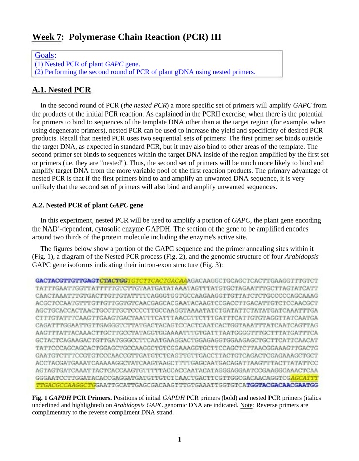 Nested PCR Methods for GAPC Gene Amplification in Plants