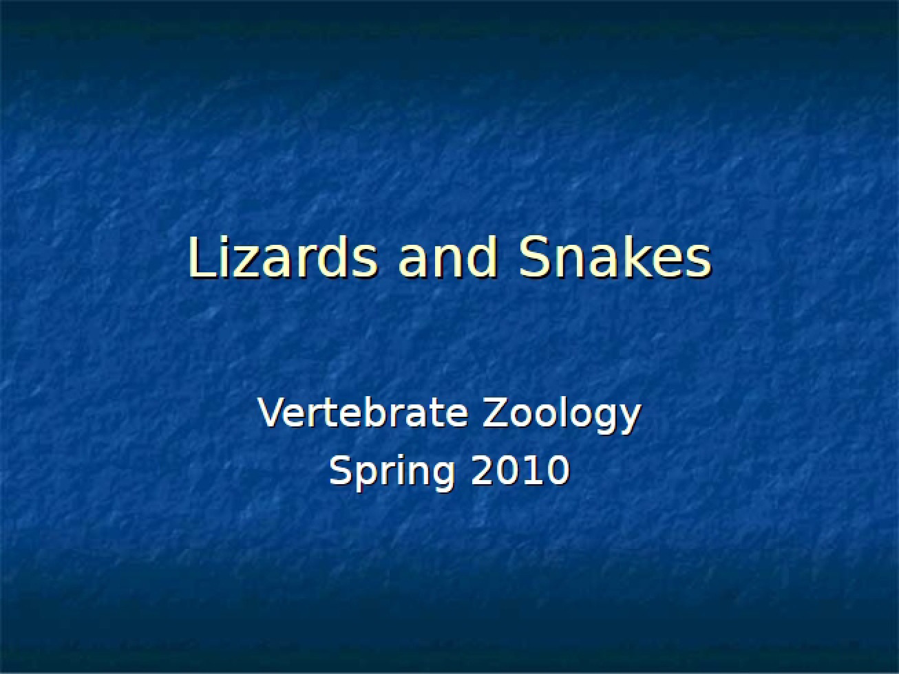 Lab Snakes and Lizards