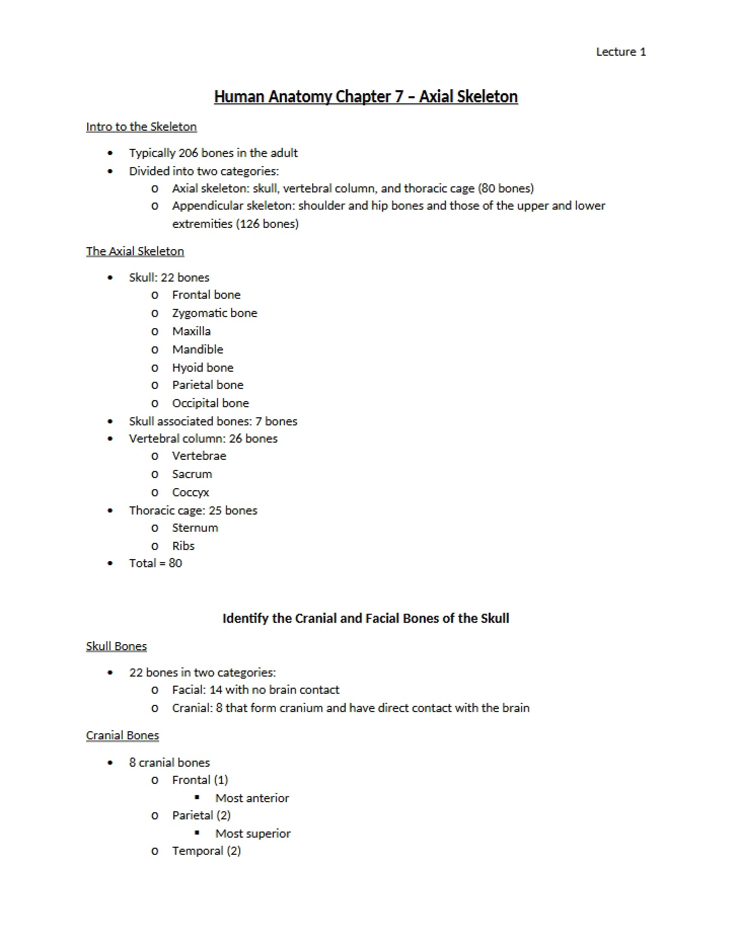 Axial Skeleton (Human Anatomy Ch 7)