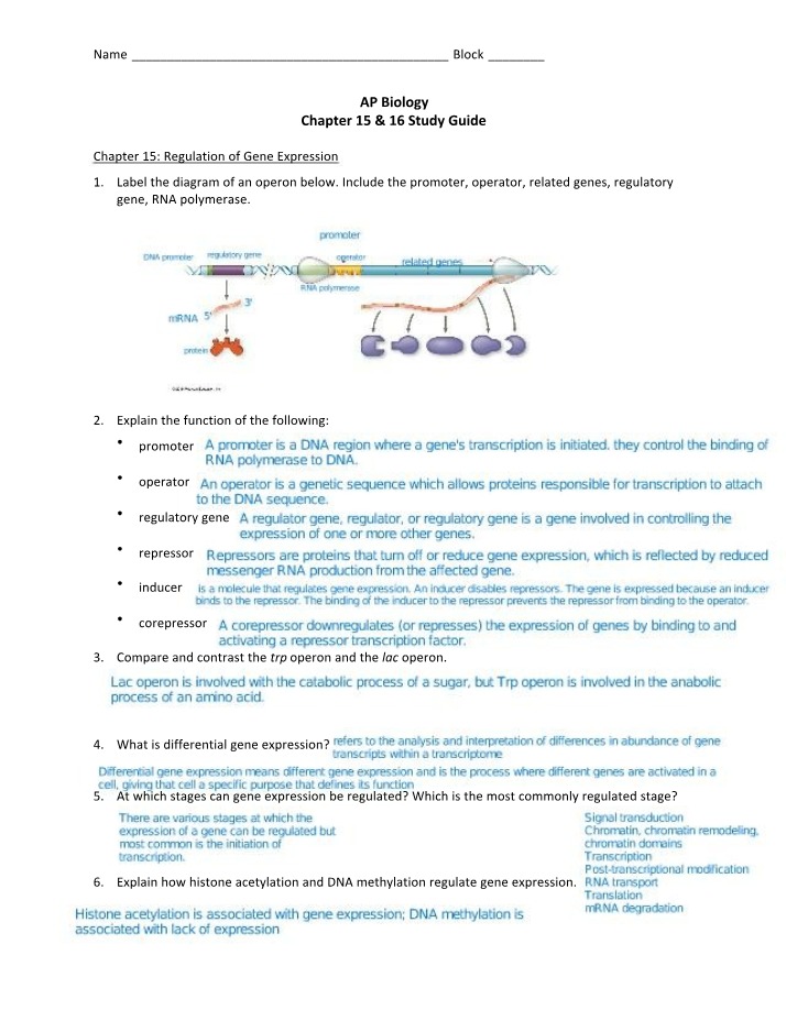 AP Biology Study Guide - Chapters 15 and 16