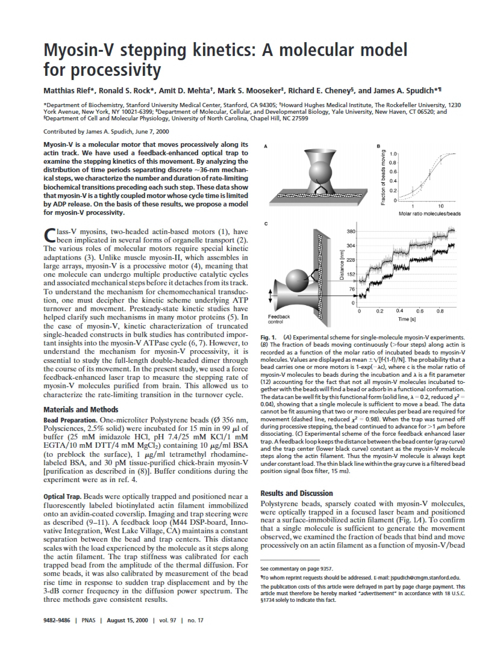 Stepping Kinetics of Myosin-V