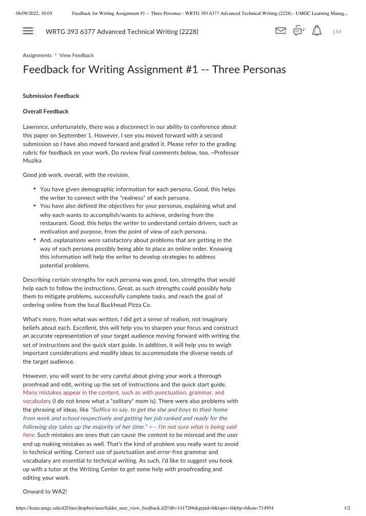 WRTG 393 - Feedback for Writing Assignment #1 - Three Personas
