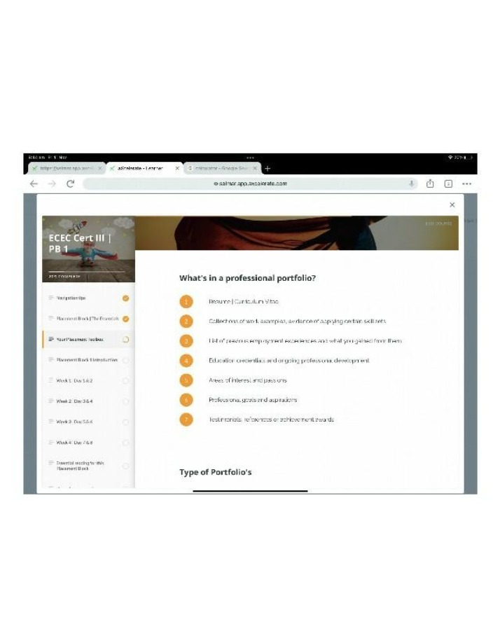 What is in a Professional Portfolio
