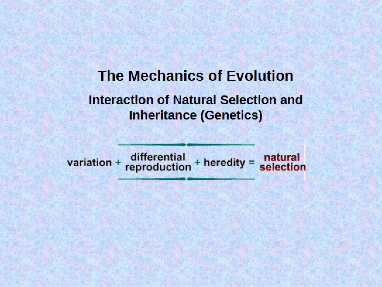Mechanics of the Evolutionary Process