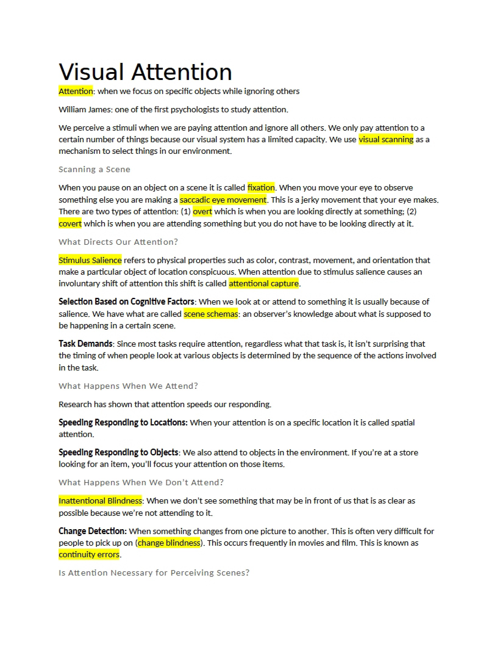 Attention in Vision
