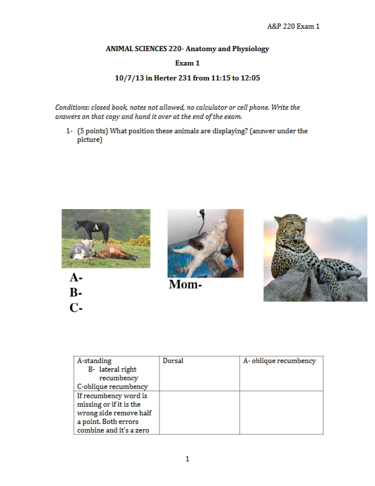 PDF Corrections for Exam One