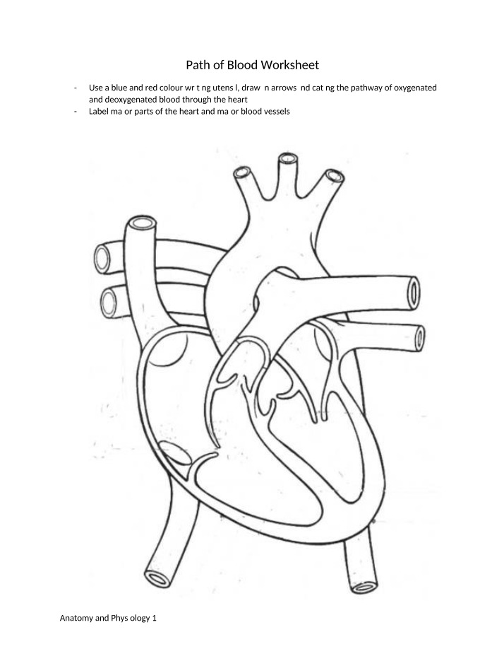 Blood Path Worksheet
