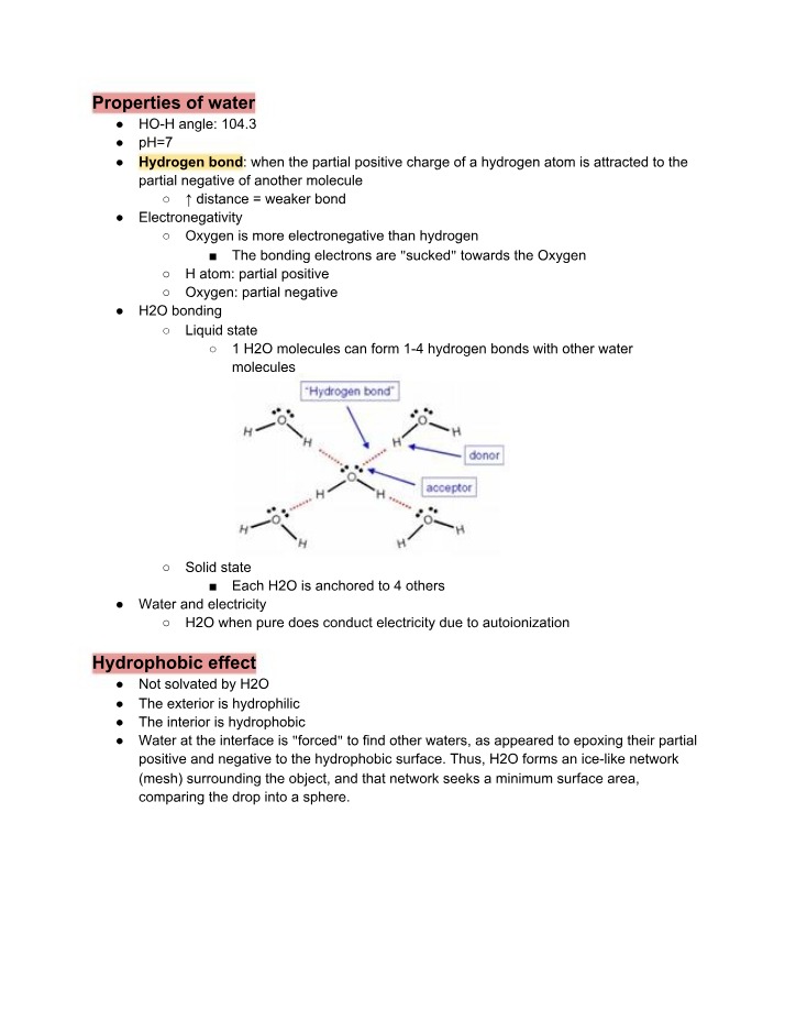 Water Properties, pH, Hydrogen Bonds, and Amino Acids Notes