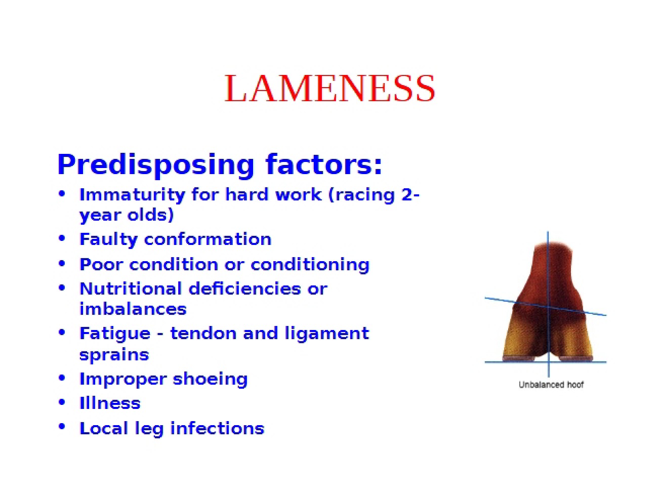 Examination of Lameness in Horses