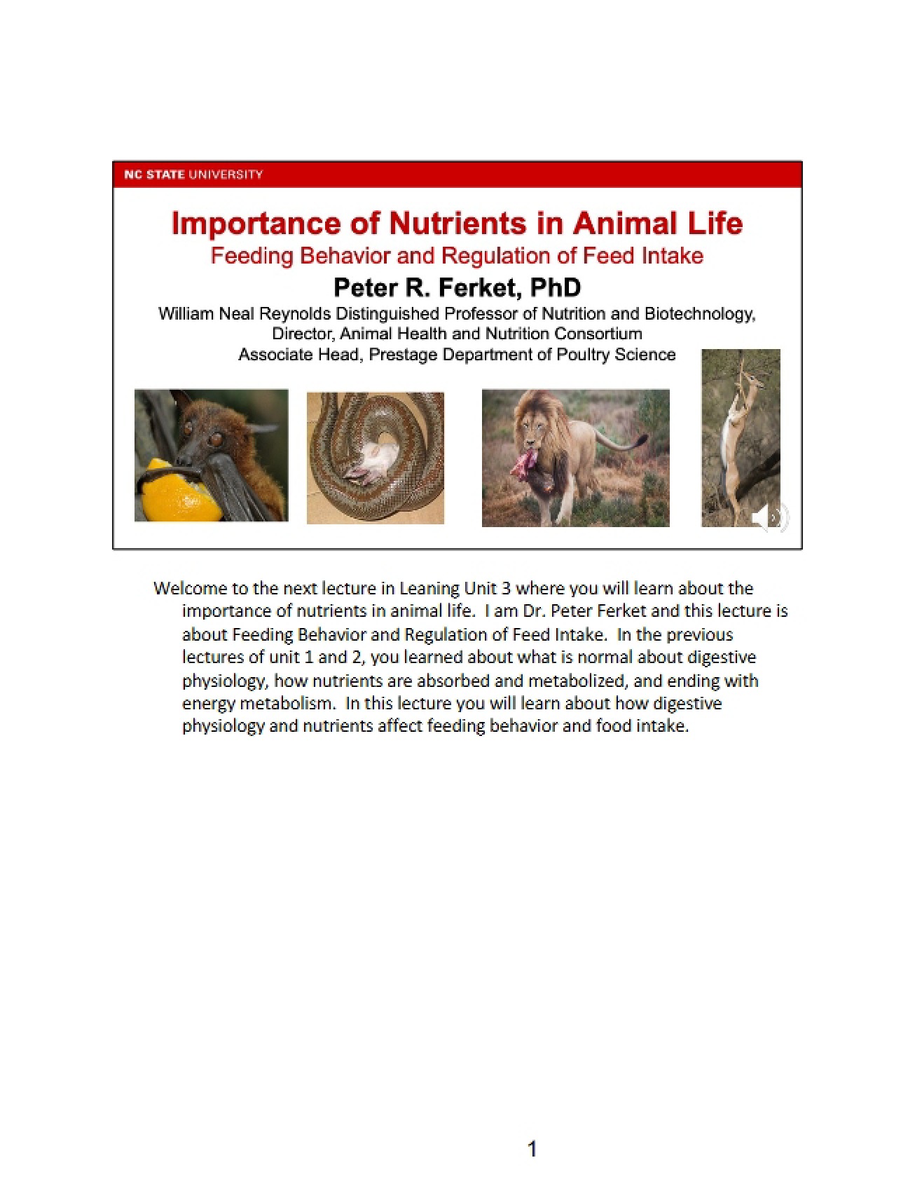 Notes on Feed Intake Regulation and Feeding Behavior