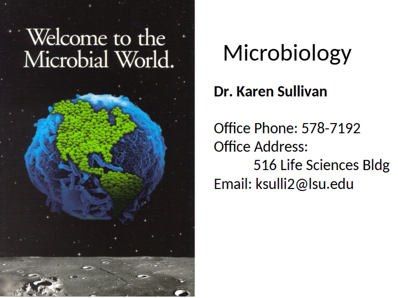 Microbiology Overview