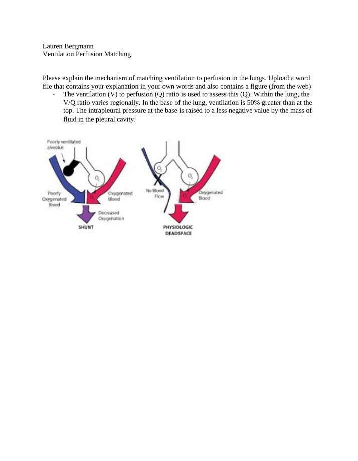 Ventilation-Perfusion Matching in the Lungs