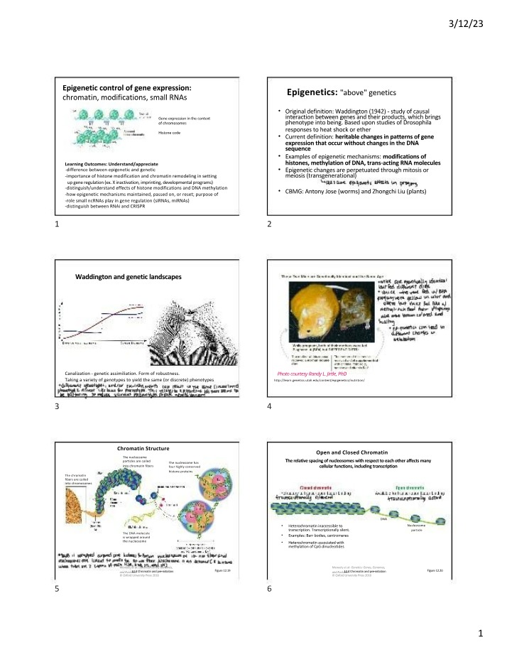 Epigenetic Control - Chromatin Modifications and Small RNAs