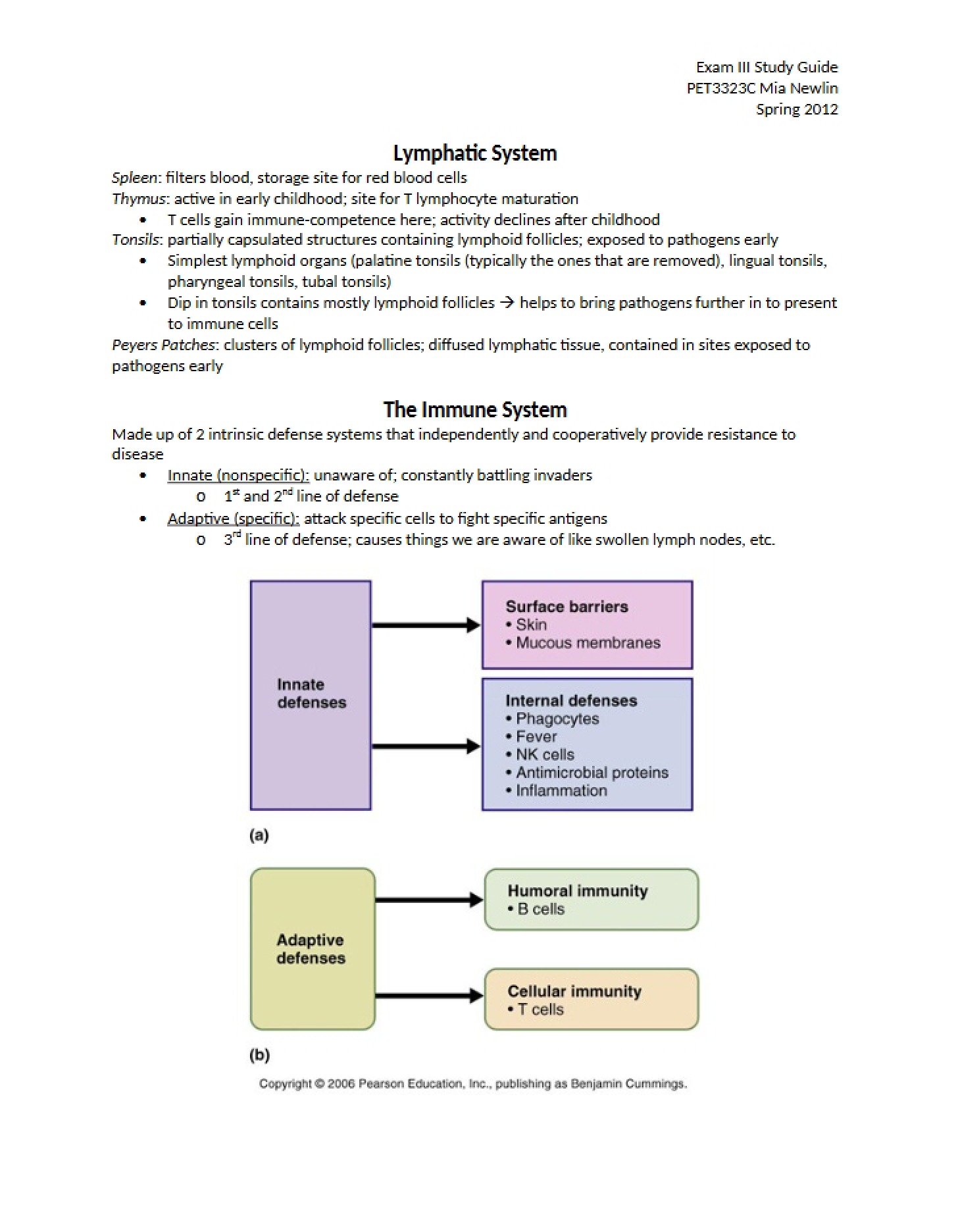 Lymph System Overview