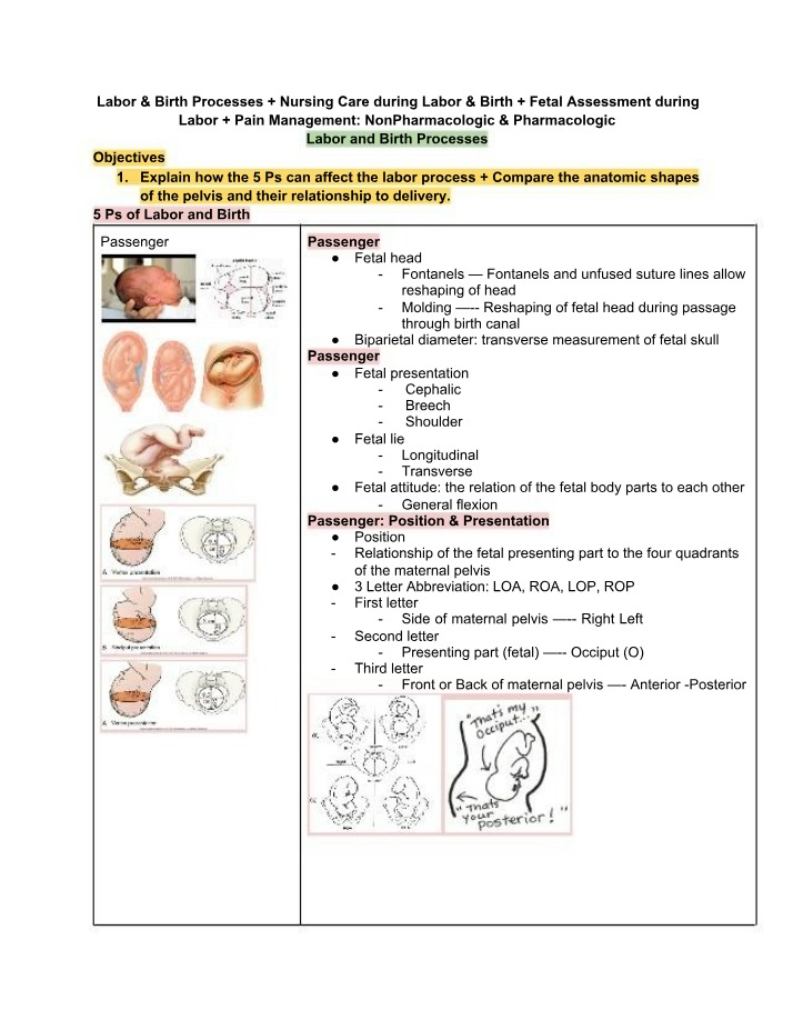Labor and Birth - Nursing Care and Fetal Assessment Guide