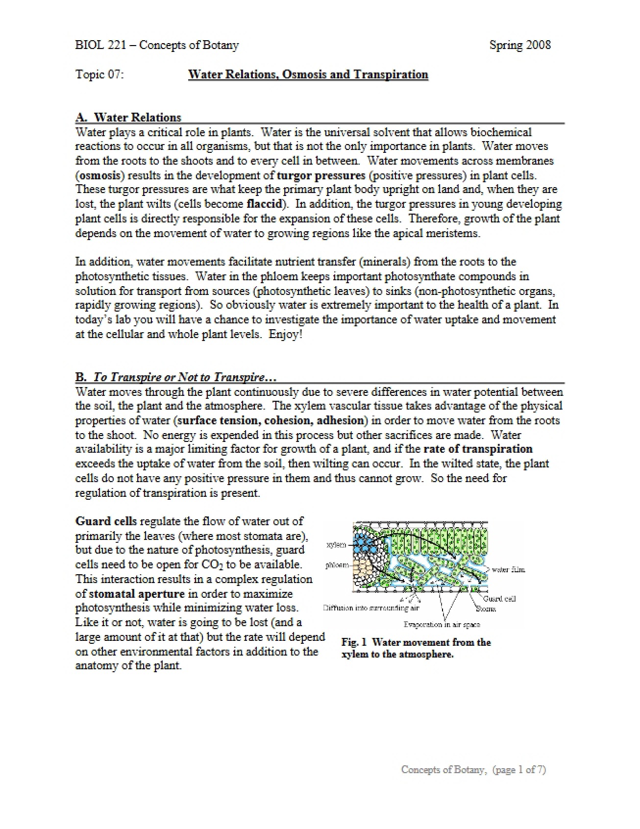 Transpiration and Osmosis Water Relations