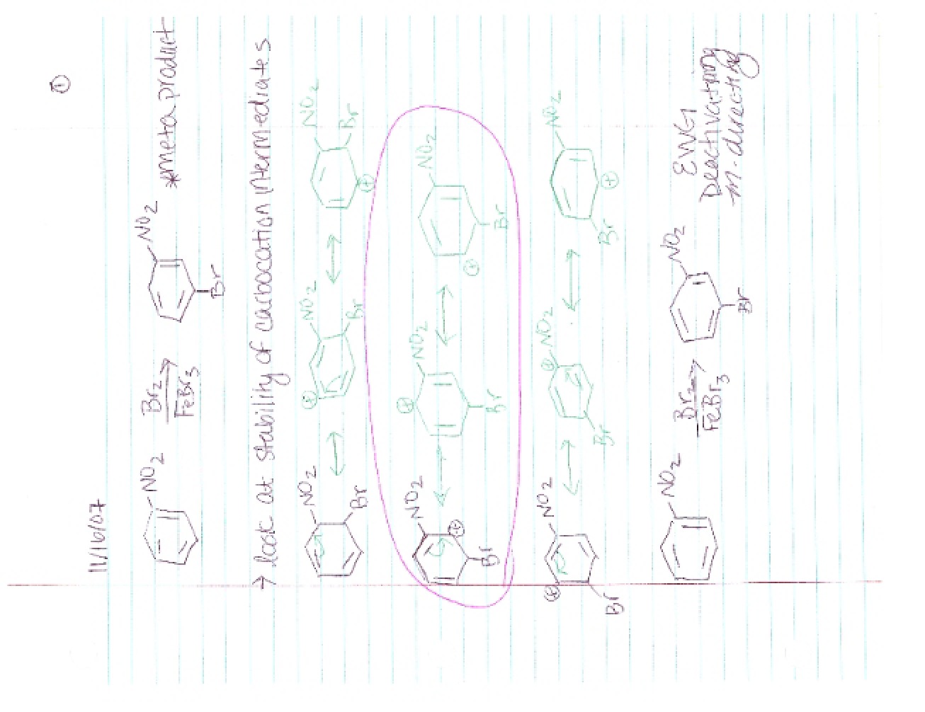 Organic Chemistry Class Notes