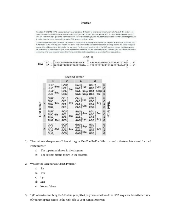 S Protein Gene - Template Strand and Amino Acid
